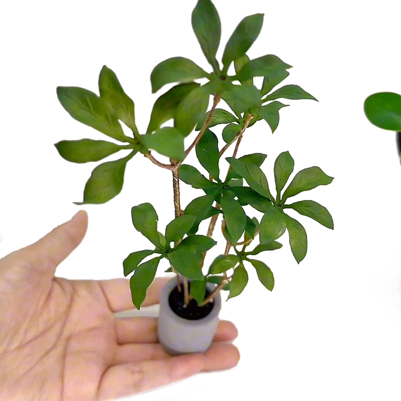 Bonsai Garden Home - 1:6 인형의 집 미니어처 화분 모델,