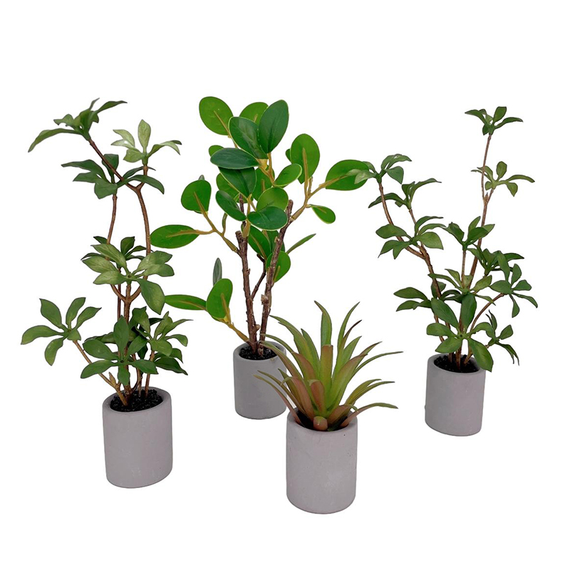1:6 인형의 집 미니어처 화분 모델, 녹색 잎 식물  - Bonsai Garden Home 리뷰 및 가격
