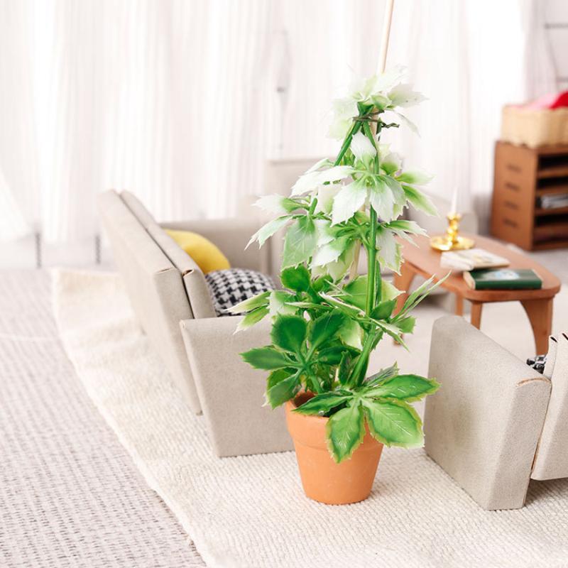 1/12 인형집 시뮬레이션 녹색 식물 분재 모델 인형집 - Bonsai Garden Decor 리뷰 및 가격