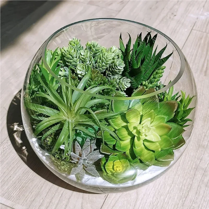 10/20Pcs PVC 다육 식물 가정 정원을위한 녹색 - Bonsai Garden Home 리뷰 및 가격